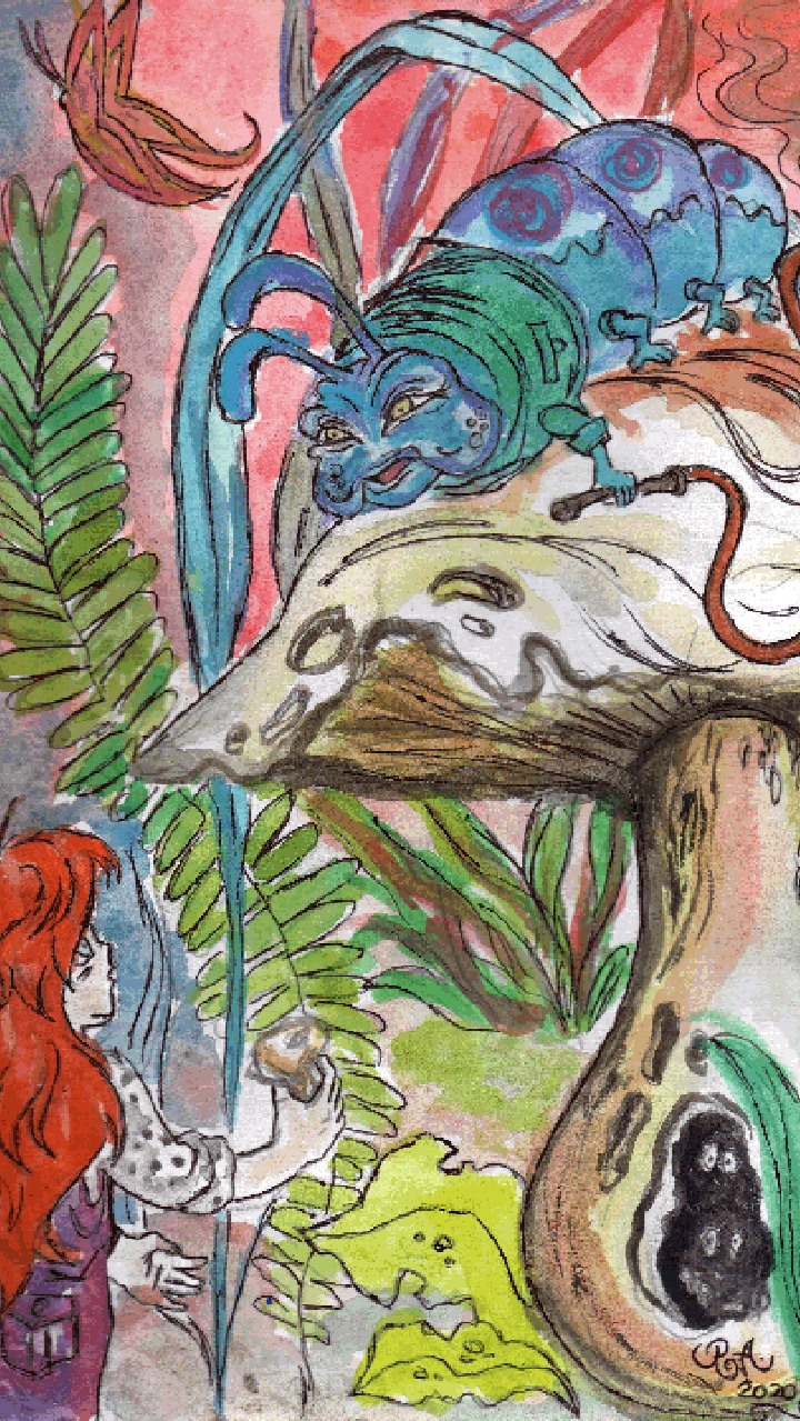 Alice Talks to a Caterpillar